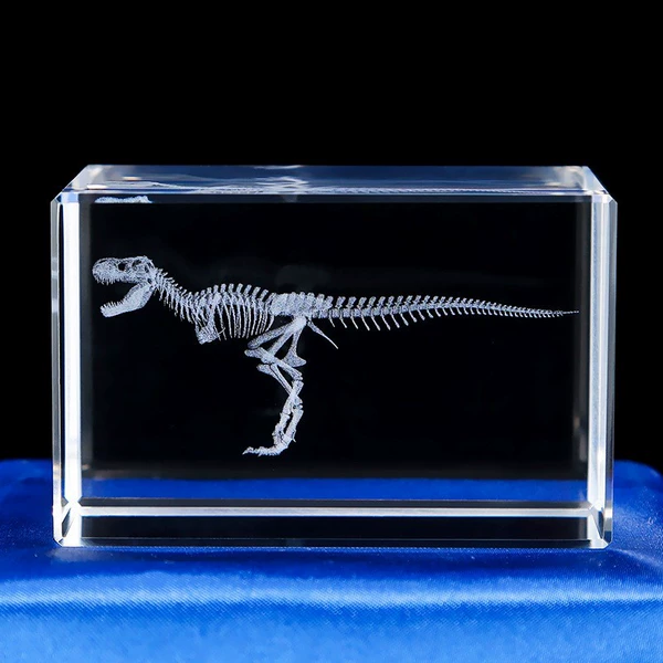 Dinosaur, skeleton