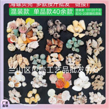 ✞贝壳 鱼缸造景40余款按斤批发彩贝小白贝鱼缸造景地中海装饰 海