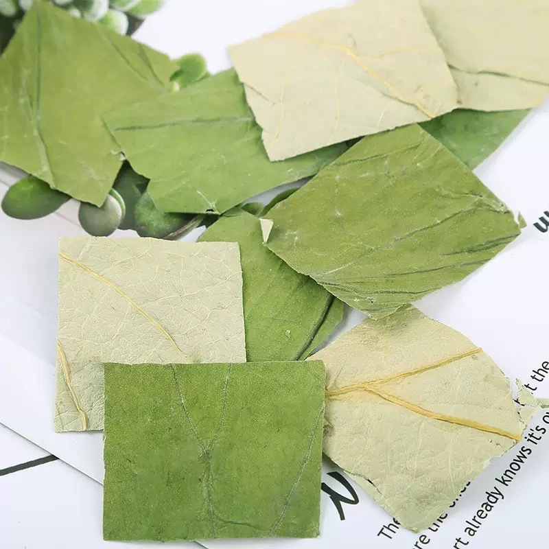 Lotus Leaf Tea He Ye 500g Dried Folium Nelumbinis Granules for Herbal Infusions key features