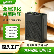 定制跨境空气净化器家用除甲醛除菌智能净化机除烟味室内过滤器