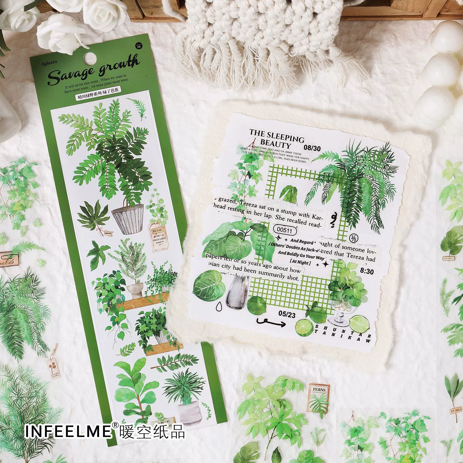 Infeelme Qingchuan Green Wild Series PET Sticker Small Fresh Green Botanical Handbook 6 entry