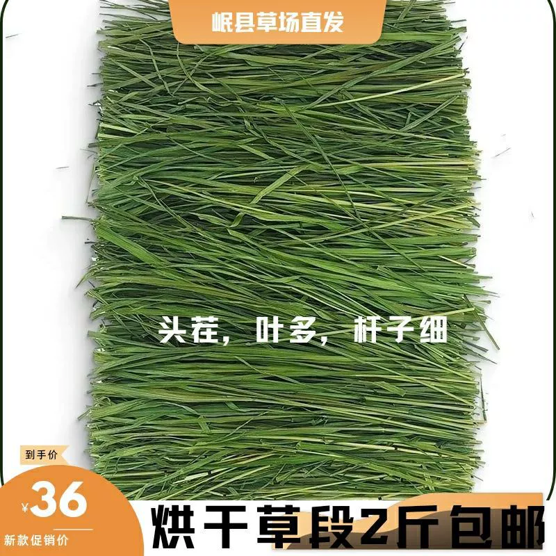 Сушеная тимофеевка Rabbit Rabbit Dry Grass оптовая поставка Timosi Grass Rabbit гранулы Dutch Pork высушивание Бесплатная доставка