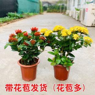 ���������Ԏ����l؛�҃ȿ͏d�̨ͥԺ�ͺ��͟��^�p�ļ��_���ܺ��B