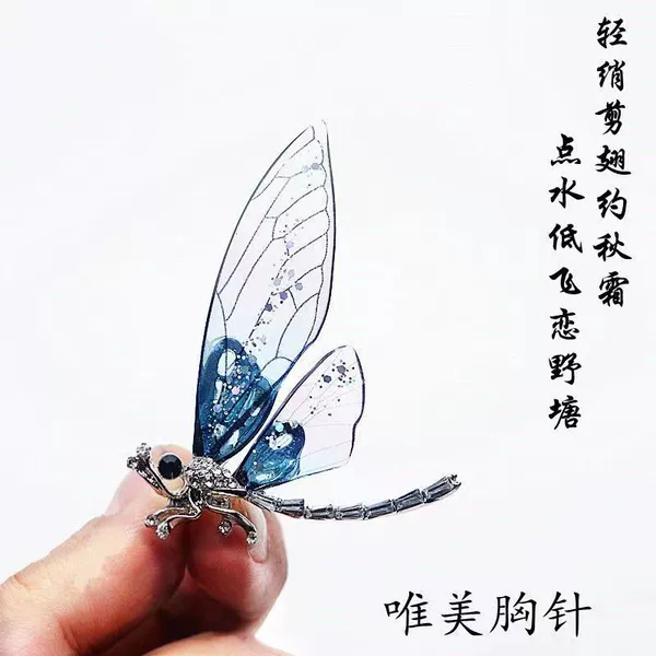White K blue dragonfly
