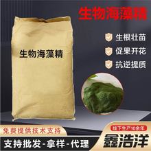 ���ﺣ�徫�S��ˮ�ܛ_ʩ��ø�������������|�������ﺣ�徫