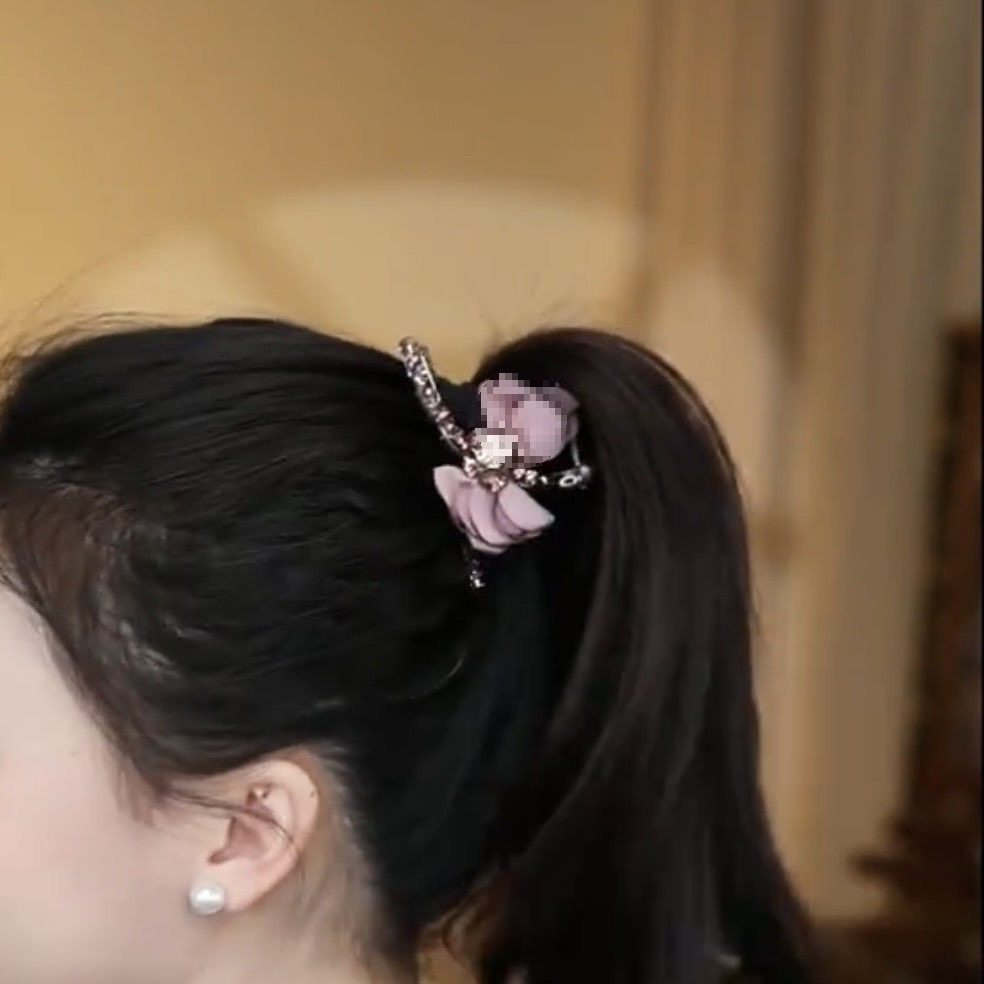 Sentir el cabello de arco nuevo estilo francés elegante coreano gran clip de agarre detrás del cerebro de la broca de pescado clip pequeña explosión femenina