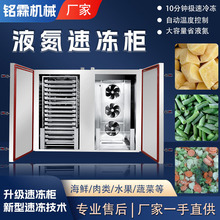 土豆低温小型速冻 果蔬丁液氮式速冻设备 豆角全自动商用速冻柜