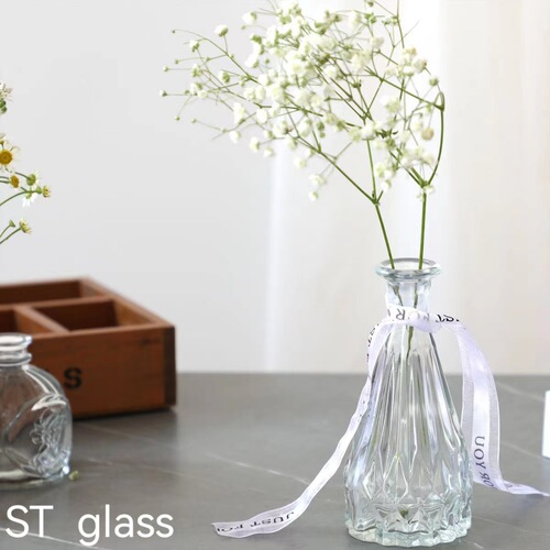 Fresh and Simple Small Mouth Glass Vase, Flower Vase for Fresh Flowers, Dried Flowers, Water-Growing Plants, Home and Office Decor, Ornament