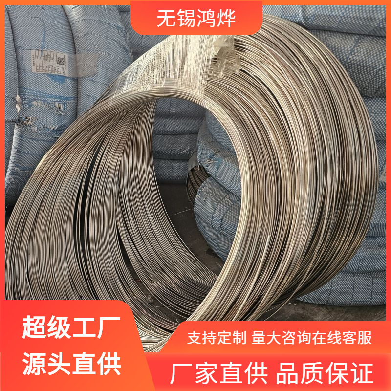 06Cr17Ni12Mo3 Er317 Stainless Steel Wire Low Temperature Copper Aluminum Welding Rod Copper Iron Nickel Zinc Battery Stainless Steel Wire