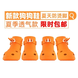宠物鞋靴;口腔护理套装;牙刷架
