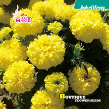 �f�۾շN�����Sɫ�󻨻����������@��·�G�������ͺ��G������