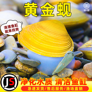 �S��͘�����~�S���ˮ�Ӱ���ˮ������坍�����^�p���~���^�p�~