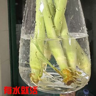 ˮ����é�ݻ��虎�ʲ���Ã����՚��̨�k���ґ��˾Gֲ�ļ��׻�
