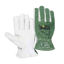 ������10-2633-LҰţ���{܇��ڱ�����