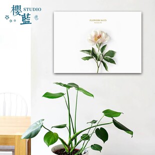 ���Wins늱����N����ý�w��������늏������䲻���z�N��