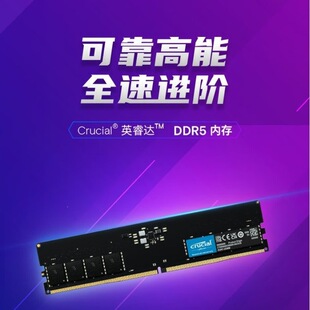 CrucialӢ��_ 32GB16GB���b DDR5 5600�l��̨ʽ�C�ȴ�lԭ�S�w��