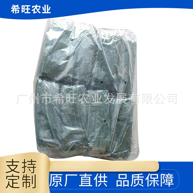 Бонсай микроландшафт цветочный горшок постельное белье мх Xiwang зеленый мох газонный мох растение зеленый сухой мох