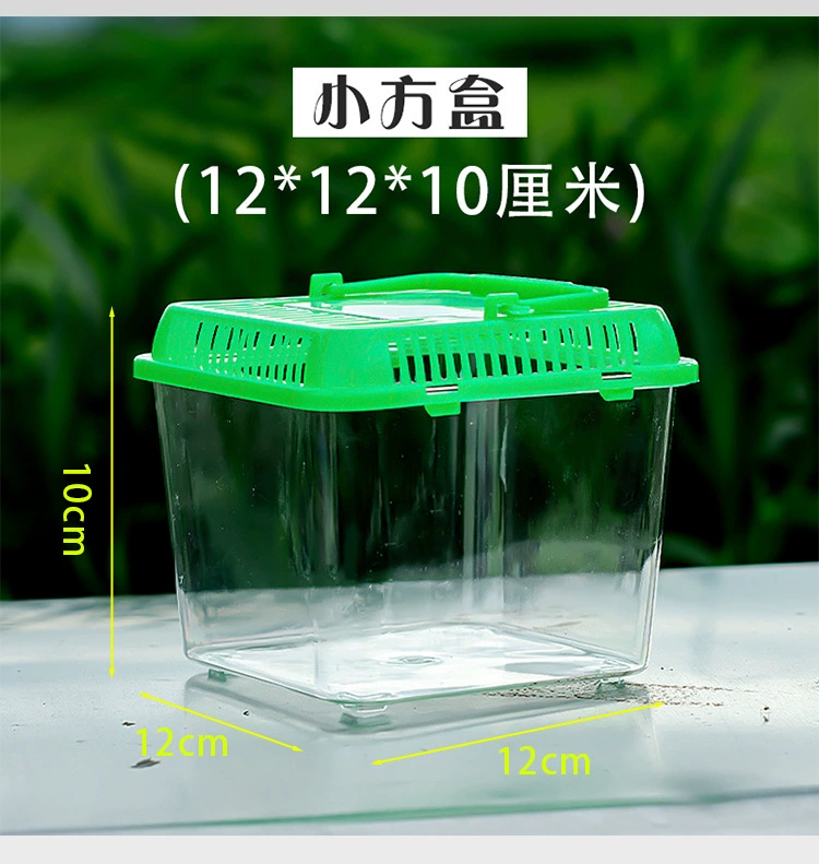 Transparent plastic pet box / small aquarium, portable ventilated tank, multiple sizes 10×7.5–39×28×17 cm