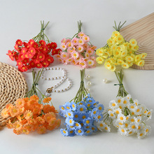 ���滨2����ʾհ���С�r�ղ�˹�ռҾӔzӰ�b���@ɭϵ�پջ���