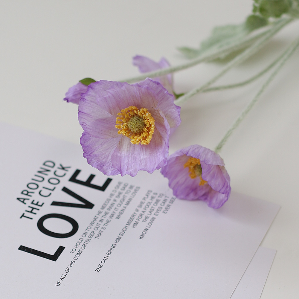 [1] 라이트 퍼플