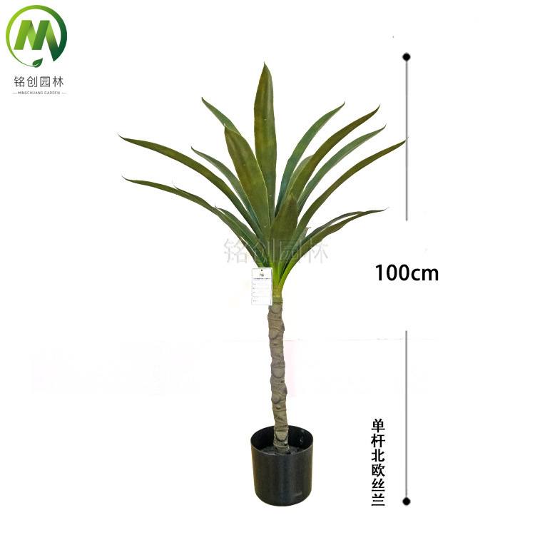 100cm yuca de una sola varilla