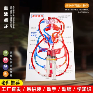 小学生科学实验器材 DIY人体血液循环模型幼儿园科技小制作批发