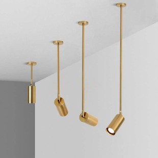 Long pole spotlight shop commercial clothing store nail salon chandelier single head Golden boom small spotlight led track light
