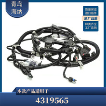 4319565 ��܇����������|�l�әC����ͨ��춿���˹늄Ӿ���