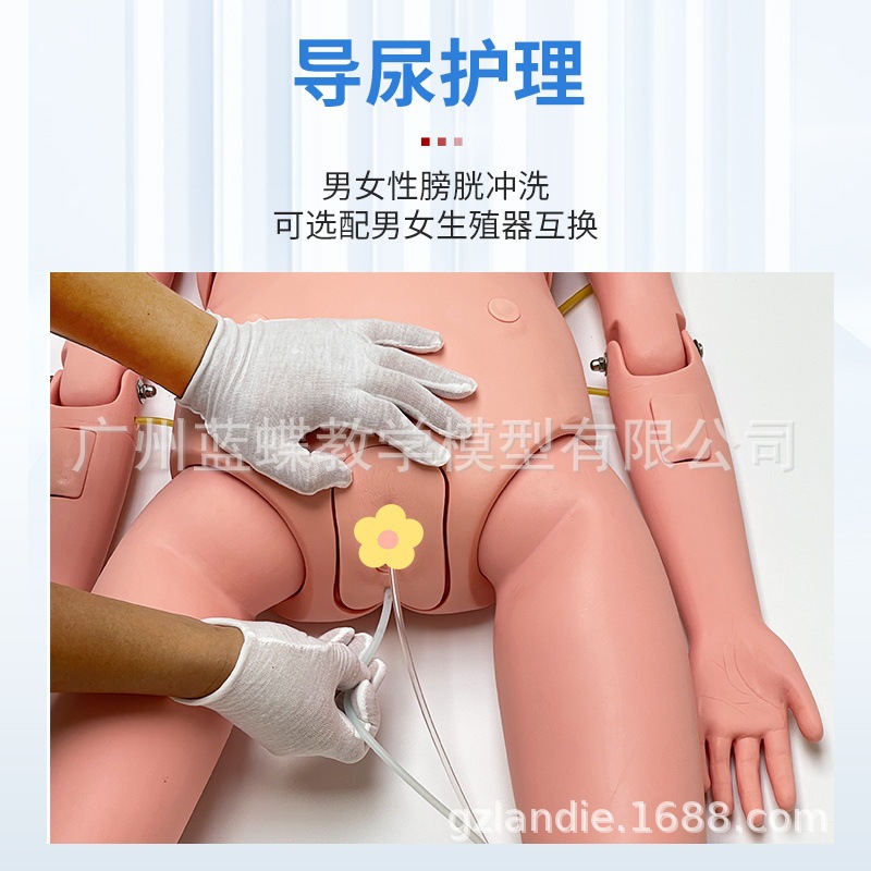 ������ѵ���ϻ�������ģ��ҽѧ��ѧ����ģ�ض๦�ܻ���ѵ��ģ����