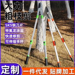 �羳���N�@�ֹ��������SK5��֦��������s�X�Ͻ�U�ߘ�֦�����l