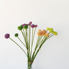 黄金球鼓槌菊金杖球软胶花仿真装饰摆放花配仿真园艺仿真植物文化