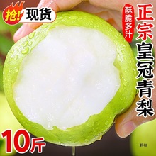 �������rˮ���Xɽ����10��ʹ��殔���������������ѩ������ֱ�N