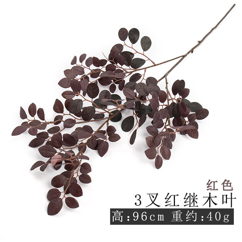 Rojo grande redwood