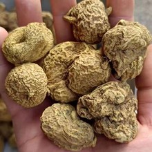 ����Ұ������� �ؿ�đ��ţđ ��ţđ�𾀵����J��đ ��؛��Ʒ