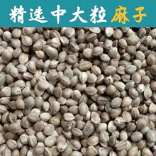 W^BZСwPƤĵС̫Bʳ}Z