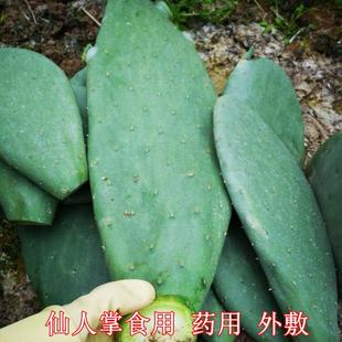 ī�����װ���֬���������ƿ͏d��ʳ���������ȷ����B���͓񃞰l