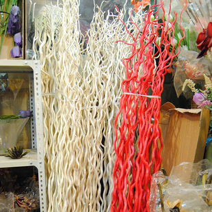 ��ɣ �������������~��֧���l �ט�֦�ɘ�֦�ɻ��[���b�������