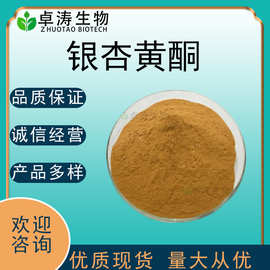 银杏黄酮24% 内酯6% 银杏叶提取物 现货批发银杏叶粉 量大优惠