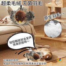 &reg;؈��߁��R�d�羳늄�С�B�ɳ��؈�����˰l�����Bë�q��