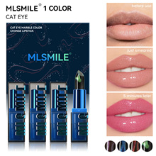 �羳׃ɫ�ڼt���b4֧�b �־���Ȼ�@ɫ�̝�����؈�۴������b