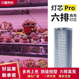 植物生长灯;格栅灯;花盆容器