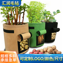 羳ëַNֲͰotֲݮ}ëַNֲͰ