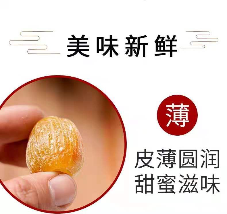 55ebdc3fad3cfebfbfa3015258e2e7