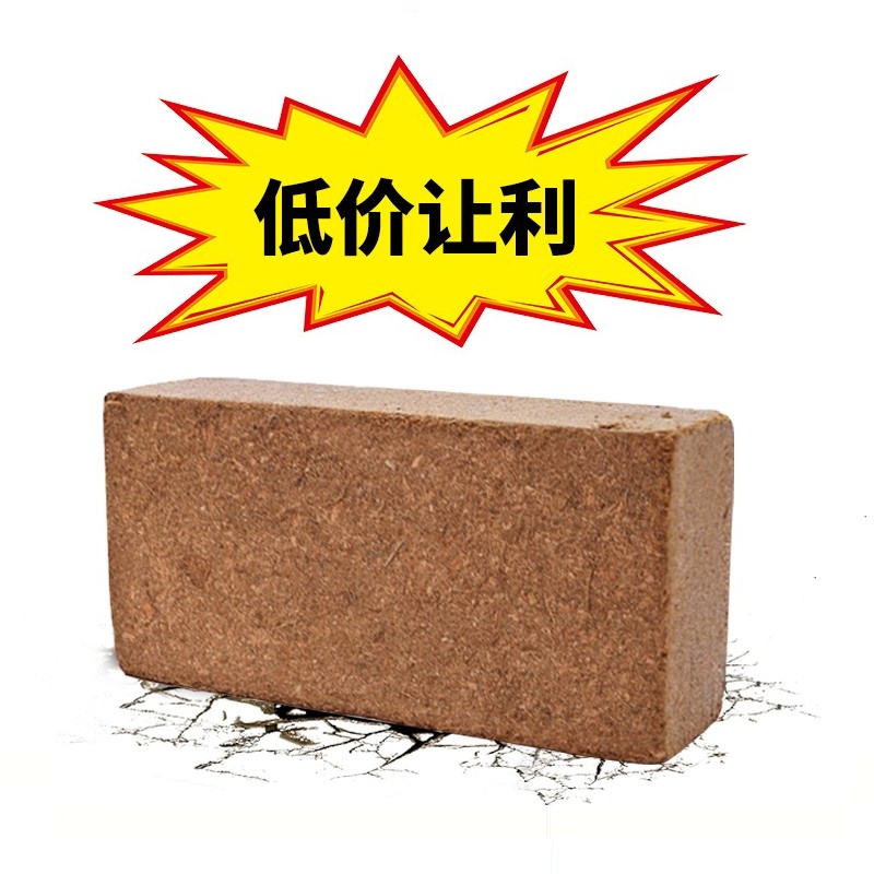 코코넛 밀기울 벽돌 1 [저렴한 가격]]