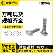 T����˨�X�Ͳ�����W�ˇ���20/30/40/45T����˨ ����T����˨