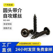 PWA���ʮ�֎����Թ��ݽzᔴ��P�^���|�Թ�M3M4�S�����l���|Ƭ