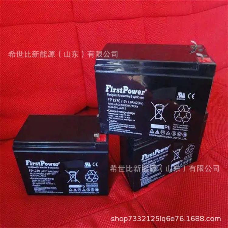 Firstpower一电蓄电池CFP2100机房UPS不间断电源2V100AH原厂现货