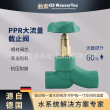 QS WasserTec����ppr��ֹ�y�~�yо����������Сpprˮ�ܿ��y�T2025