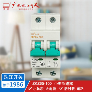 Guangdong Pearl River switch ZKZ65 2p 100A circuit breaker air switch two pole small micro break