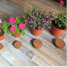 椰饼种植土 椰砖饼块 盆栽压缩土 育苗块 含肥营养土 花卉营养土